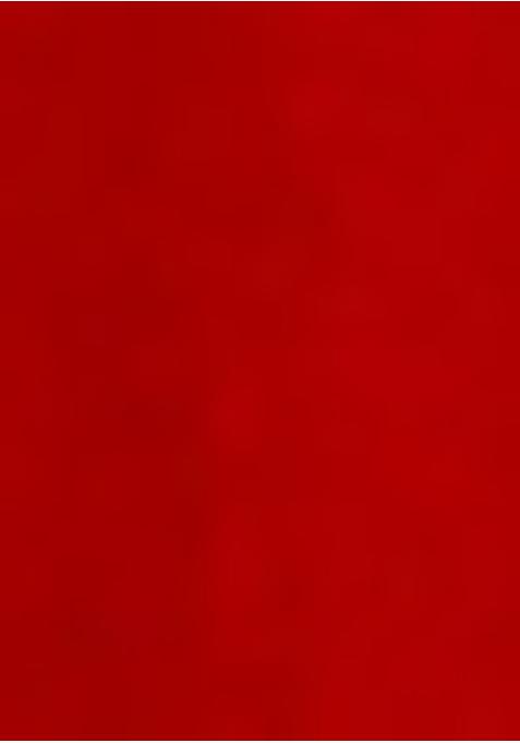 Red Net Embellished Sharara Set