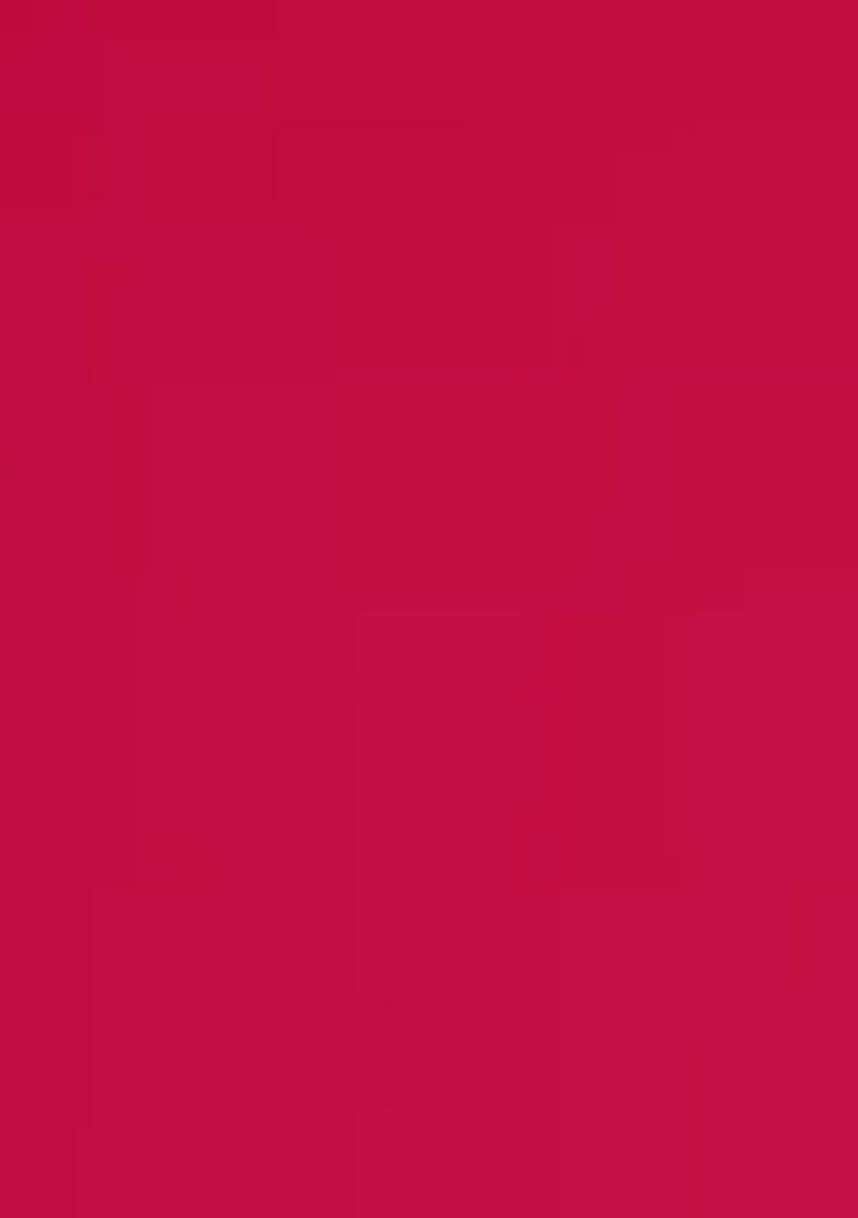 Multicolor Tissue Embroidered Sharara Set