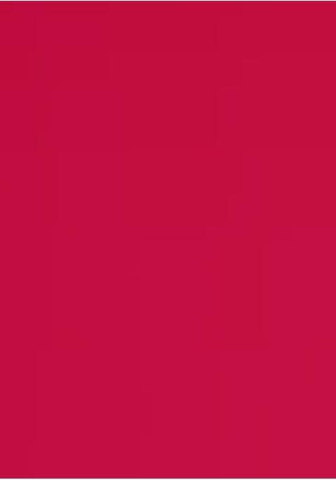 Multicolor Tissue Embroidered Sharara Set