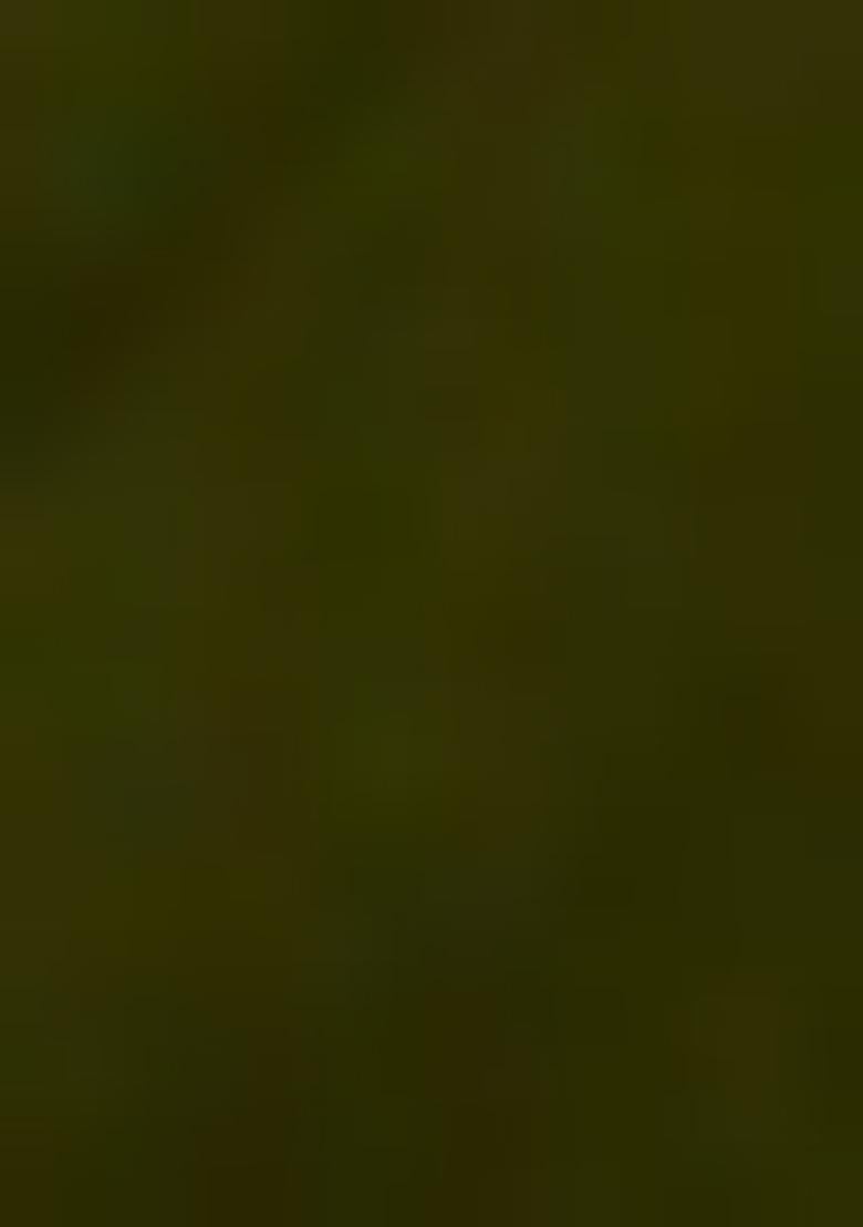 Green Embroidered Velvet Kurta Set - Indya