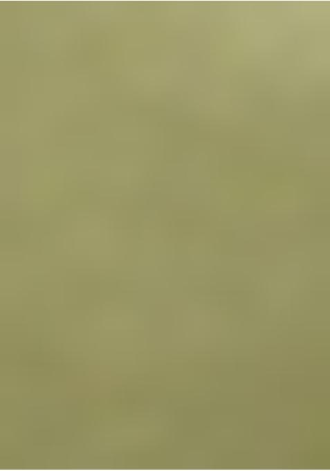 Mehendi Green Silk Kurta Set