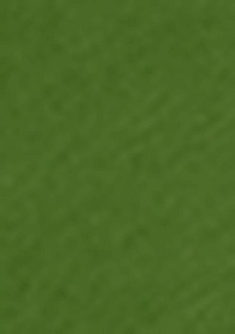 Moss Green Sequin Embroidered Chinon Kurta Set - Indya