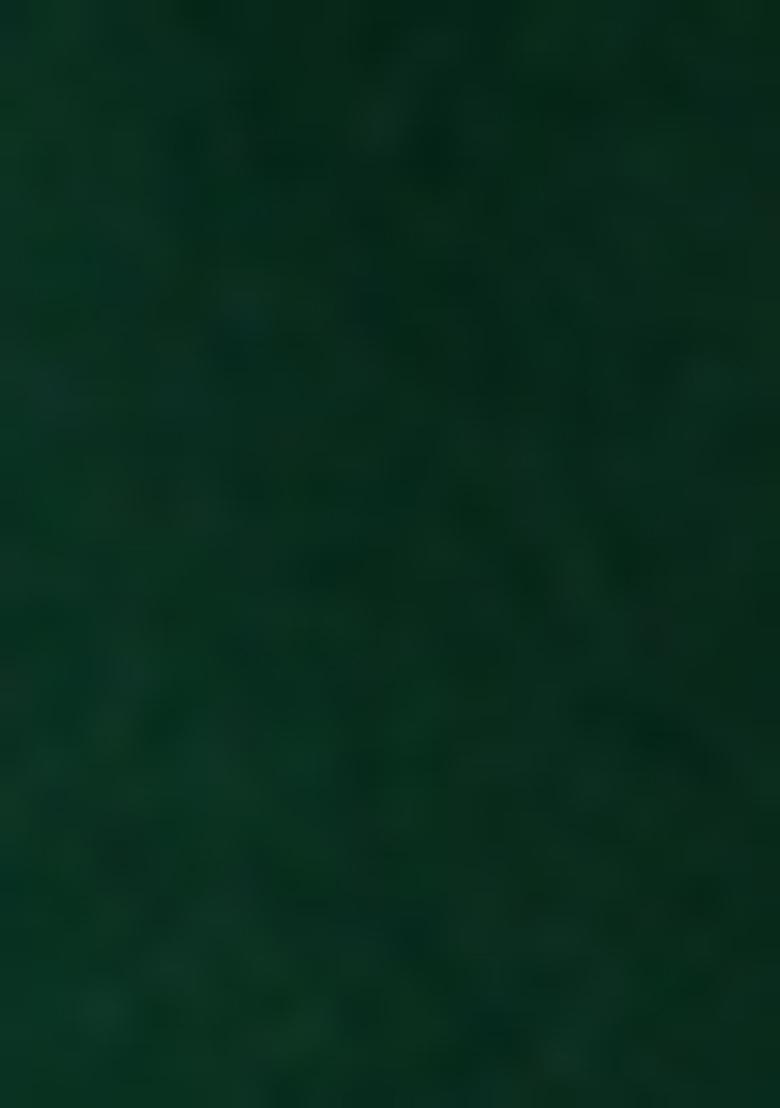 Green Jacquard Brocade Kurta Set