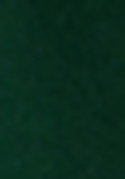 Green Jacquard Brocade Kurta Set