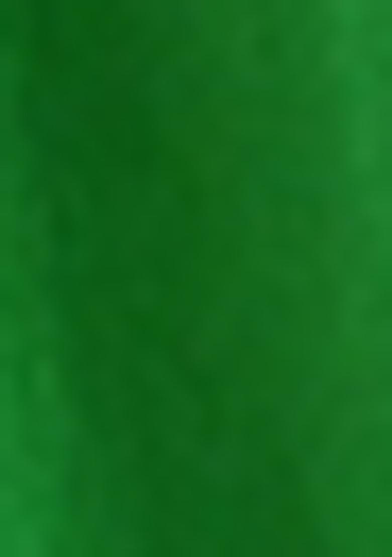 Light Green Jacquard Brocade Kurta Set