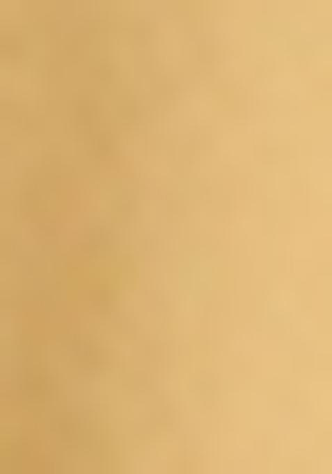 Gold Embroidered Georgette Sharara Set