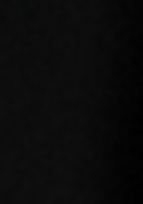 Black Sequin Embellished Georgette Sharara Set