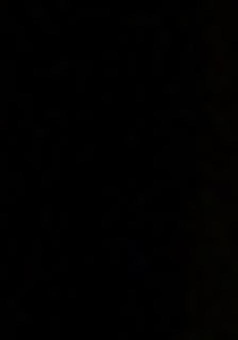 Black Embellished Georgette Sharara Set