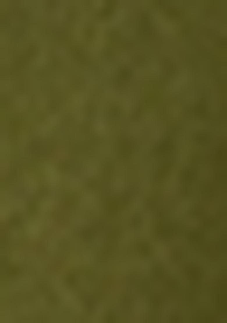 Green Embellished Georgette Sharara Set