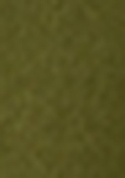 Green Embellished Georgette Sharara Set