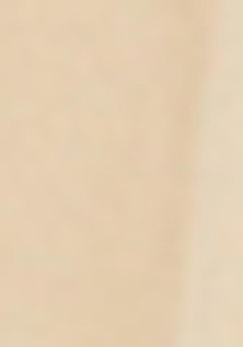 Off White Embroidered Georgette Sharara Set