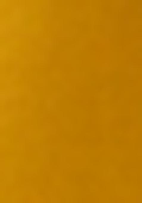 Yellow Embroidered Silk Sharara Set