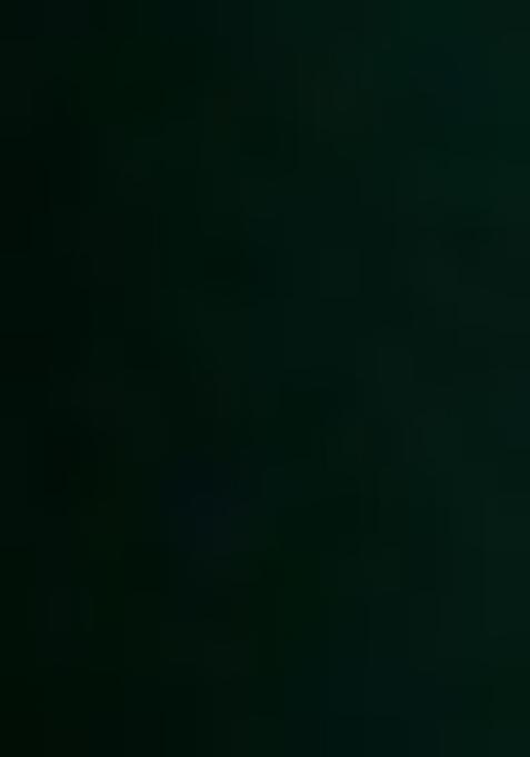 Green Sequin Net Sharara Set