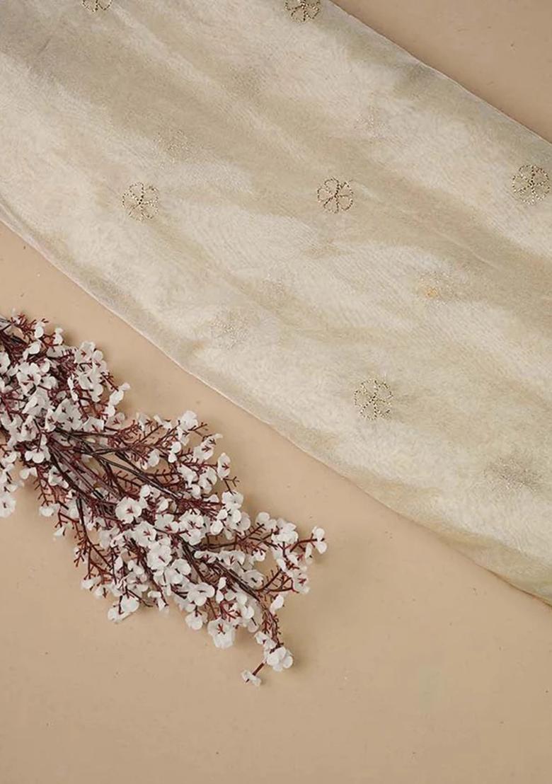 Beige Embroidered Organza Kurta Set - Indya