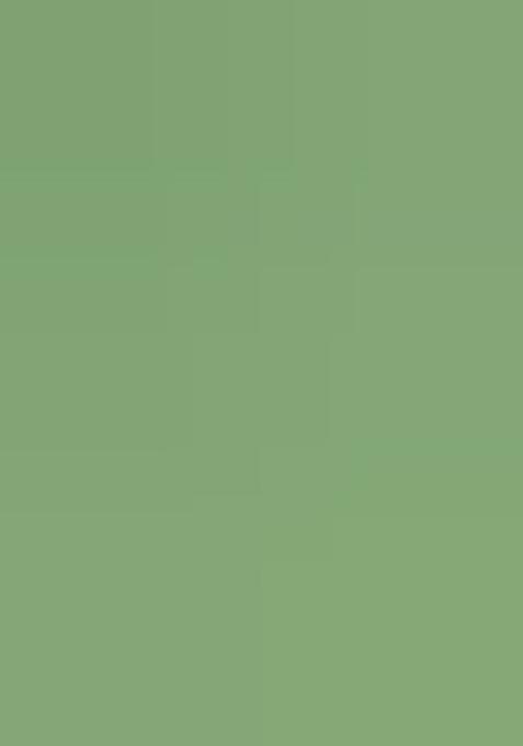 Sea Green Printed Polyester Sharara Set