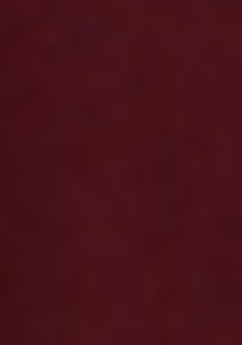 Brown Printed Georgette Anarkali Set