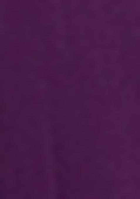 Purple Printed Georgette Anarkali Set