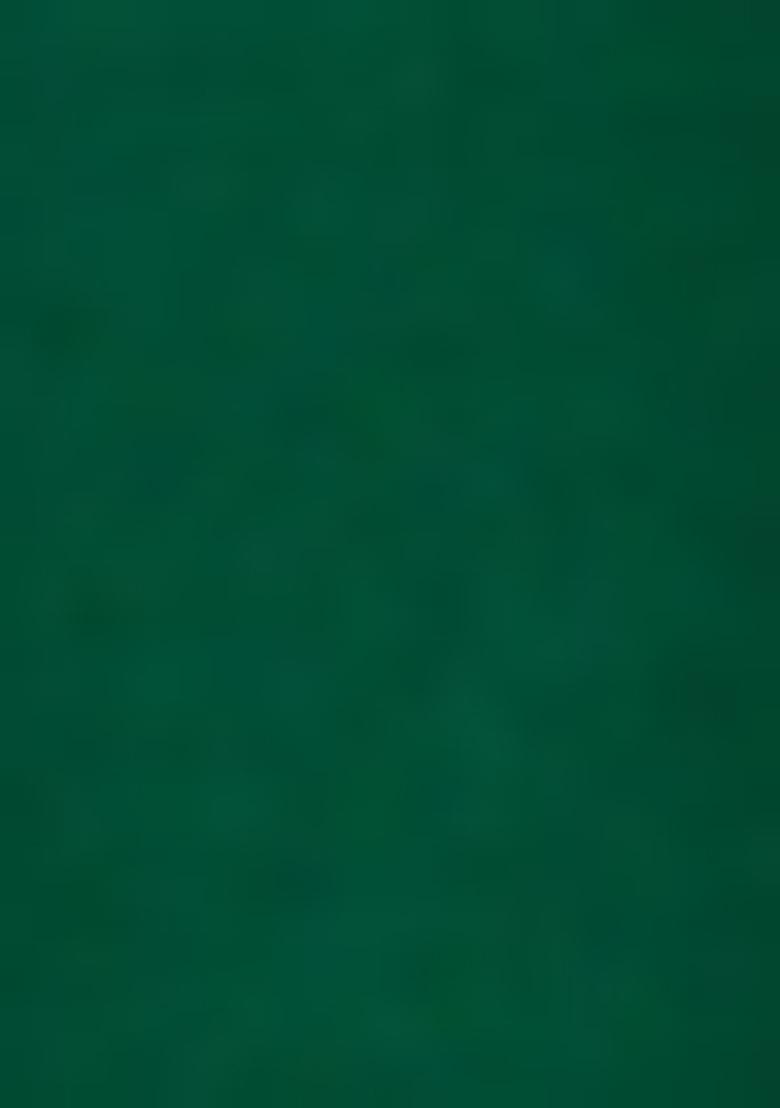 Green Embroidered Georgette Sharara Set