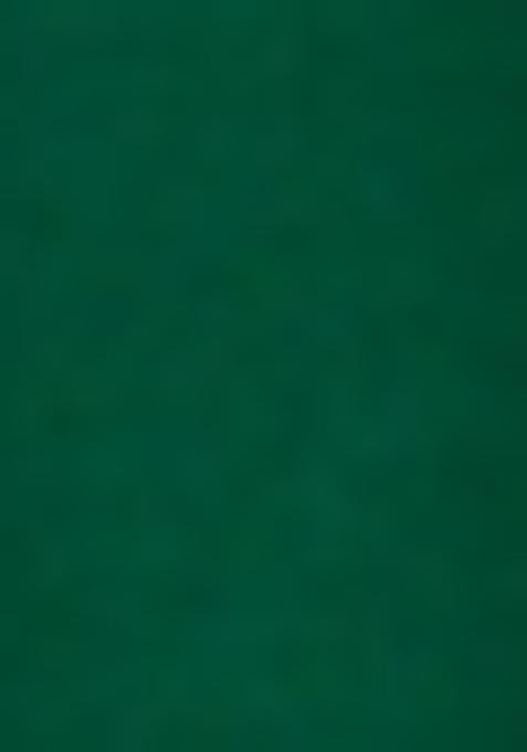 Green Embroidered Georgette Sharara Set