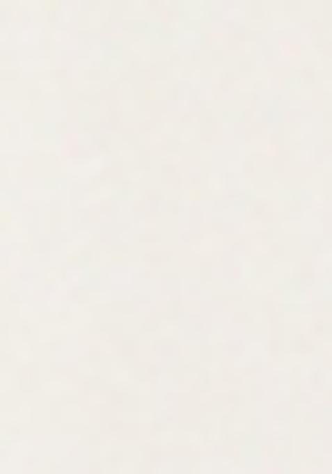 White Embroidered Silk Sharara Set