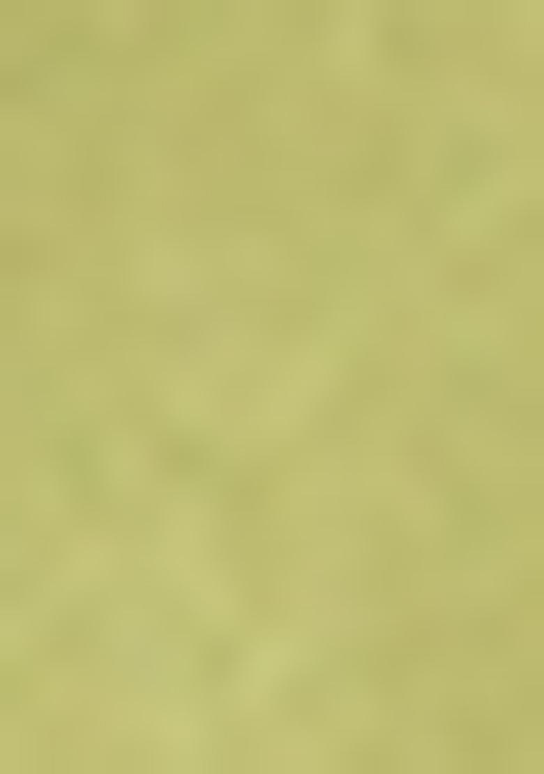 Lime Green Solid Organza Kurta Set