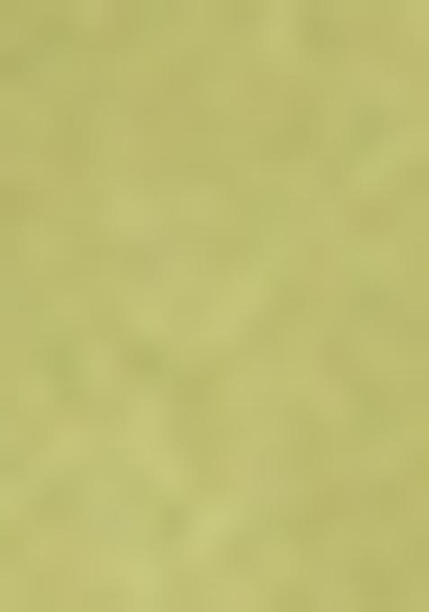 Lime Green Solid Organza Kurta Set