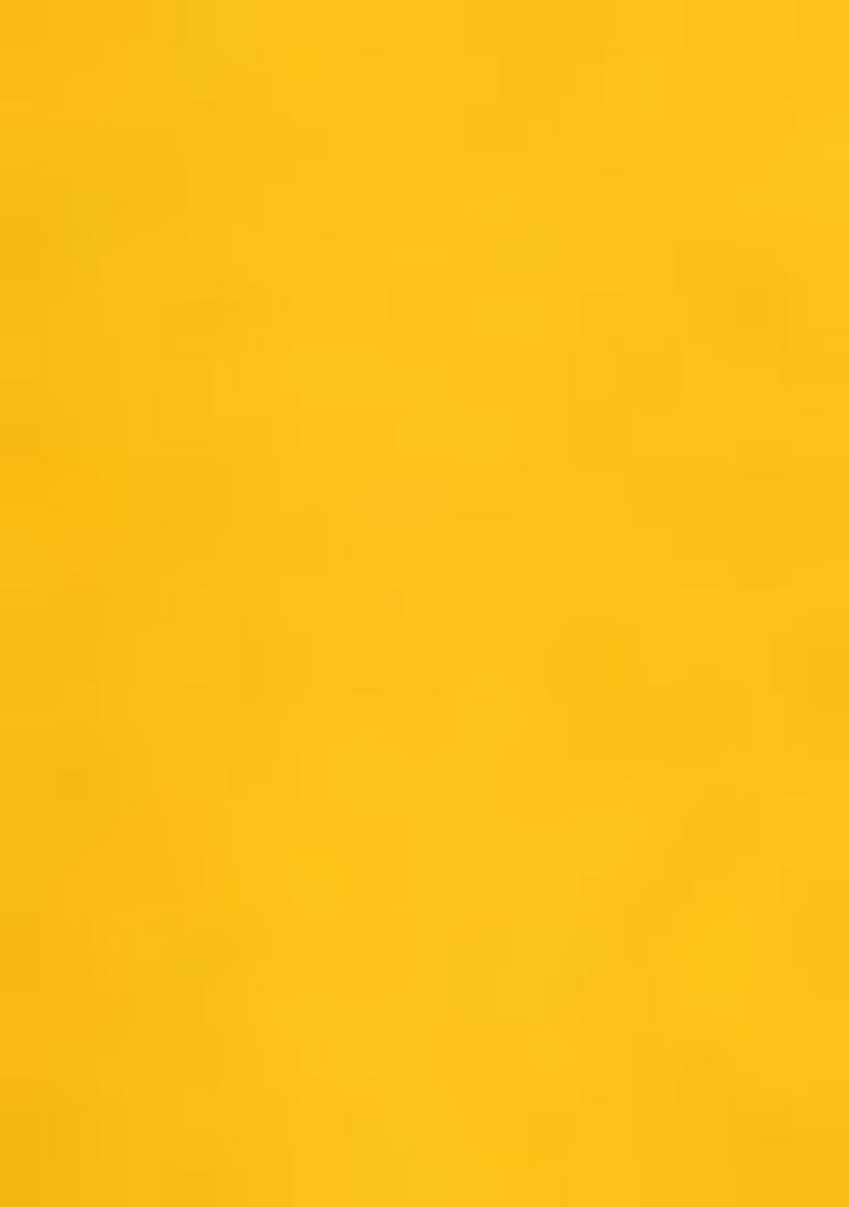 Yellow Embroidered Georgette Fusion Set - Indya