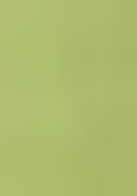 Green Solid Oragnza Sharara Set