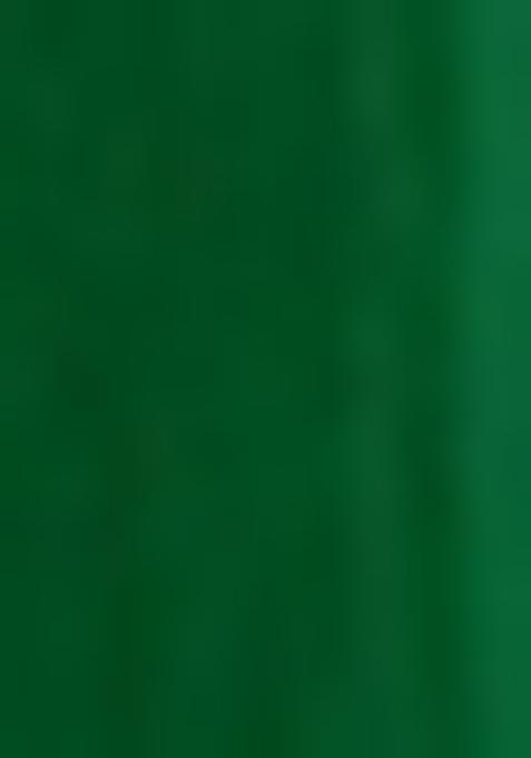 Green Embroidered Jacqurad Sharara Set