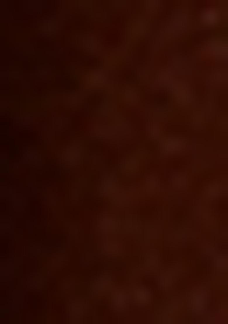 Brown Foil Printed Sharara Set