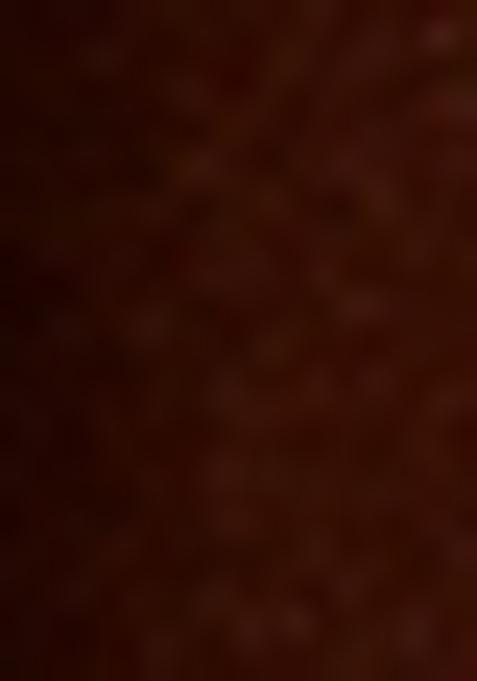 Brown Foil Printed Sharara Set