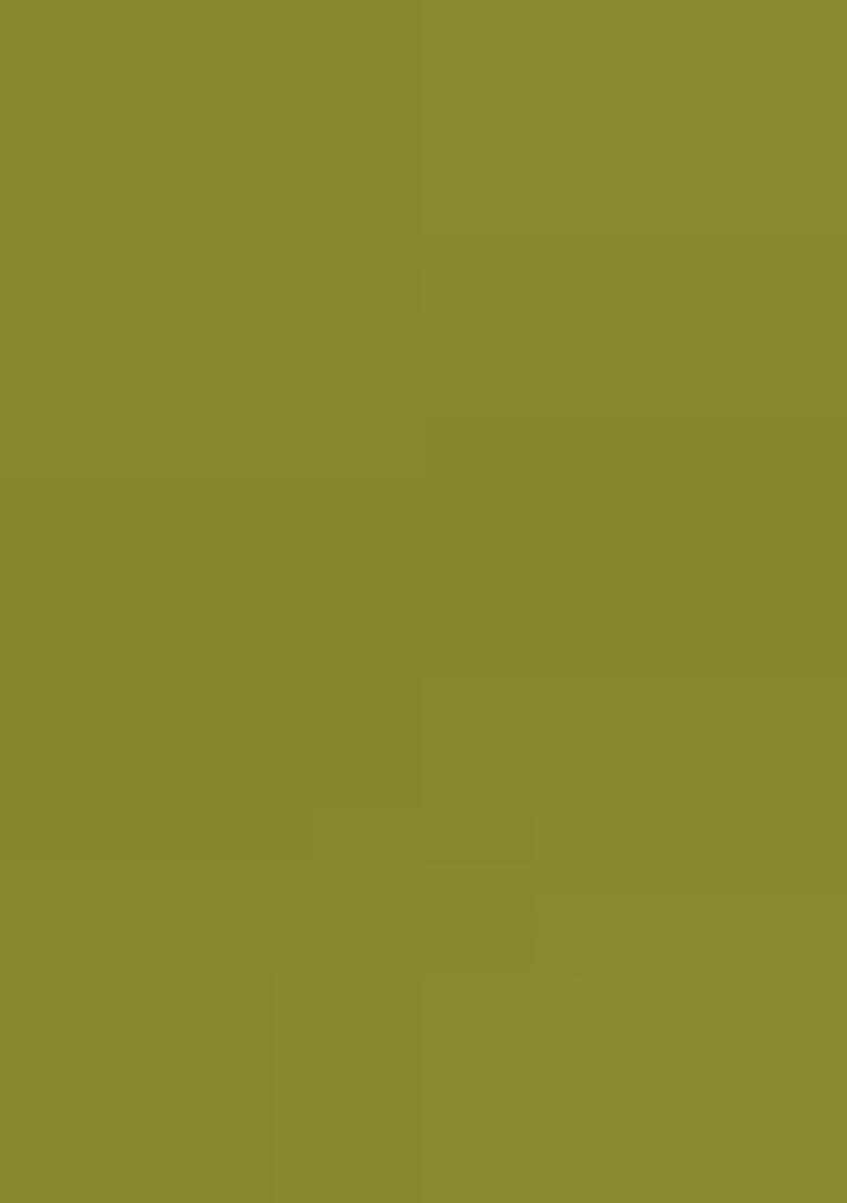 Olive Green Solid Cotton Fusion Set - Indya