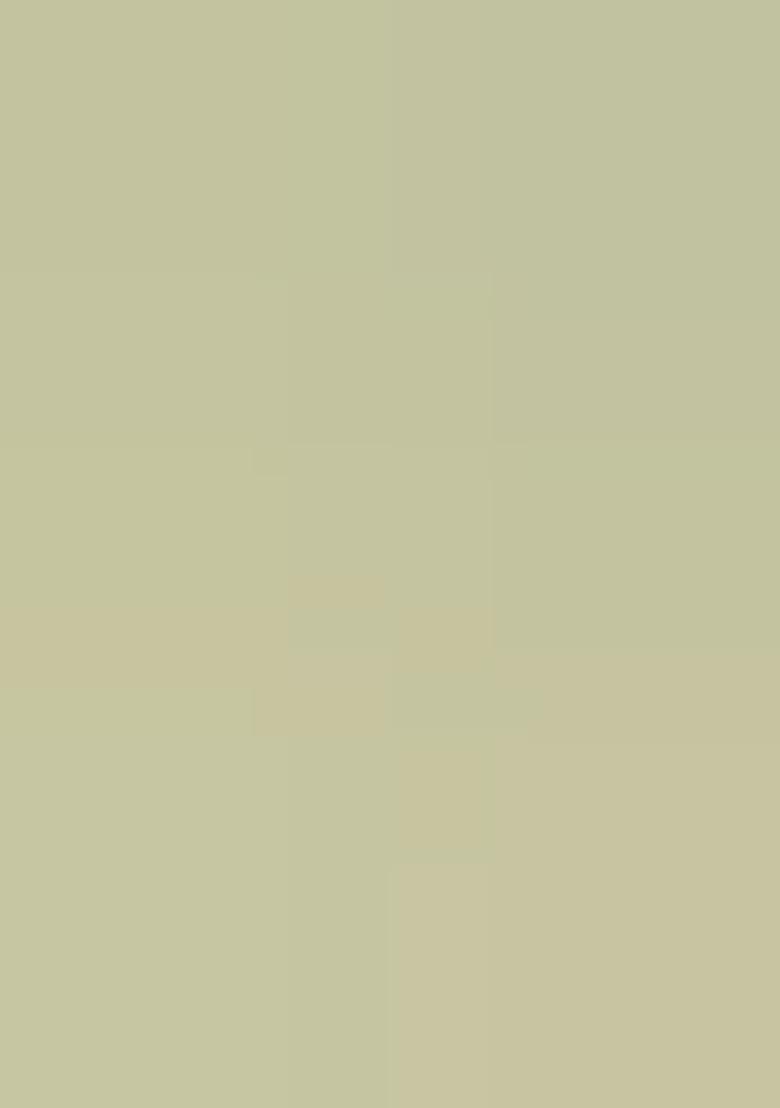 Sage Green Floral Print Crepe Fusion Set - Indya