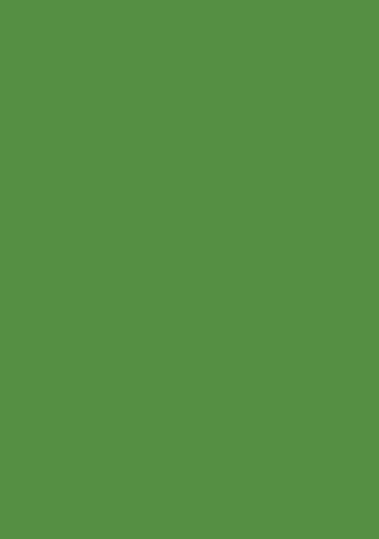 Green Sequin Chinon Fusion Set - Indya