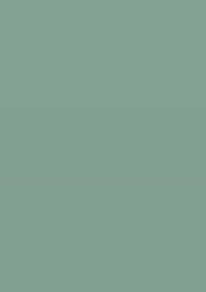 Mint Green Embroidered Crepe Fusion Set - Indya