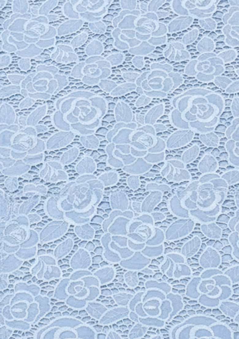 Ice Blue Embroidered Crepe Lehenga Set - Indya