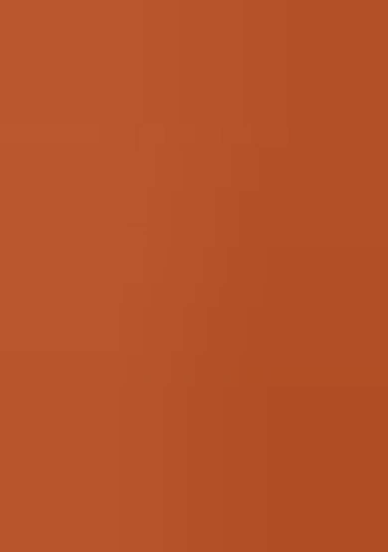 Rust Orange Embroidered Crepe Sharara Set - Indya