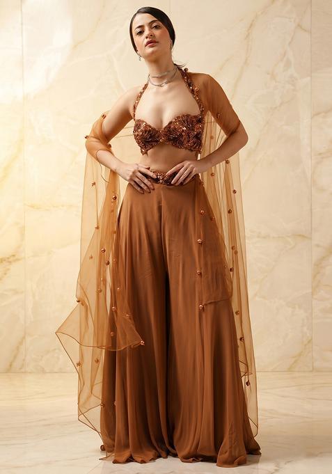 Beige Embroidered Handwork Sharara Set