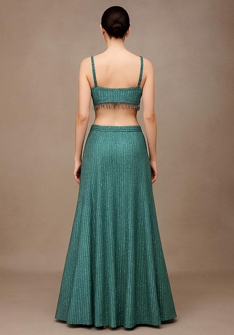 Powder Blue Embroidered Net Lehenga Set