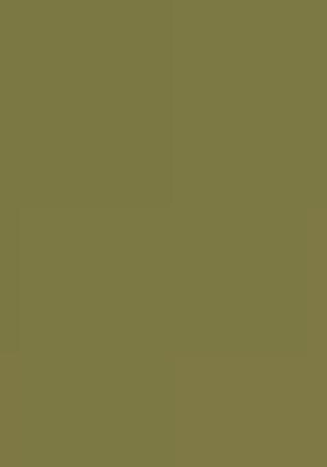 Green Foil Printed Knit Lehenga Set