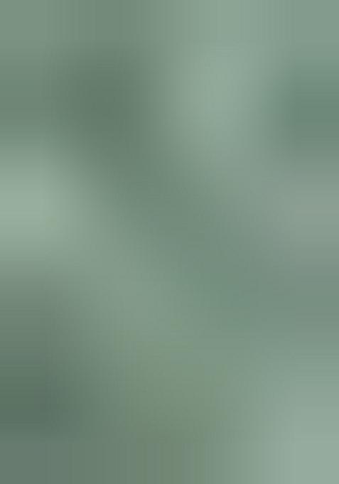 Turquoise Blue Embellished Polyester Lehenga Set