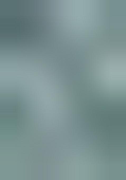 Green Embellished Polyester Lehenga Set