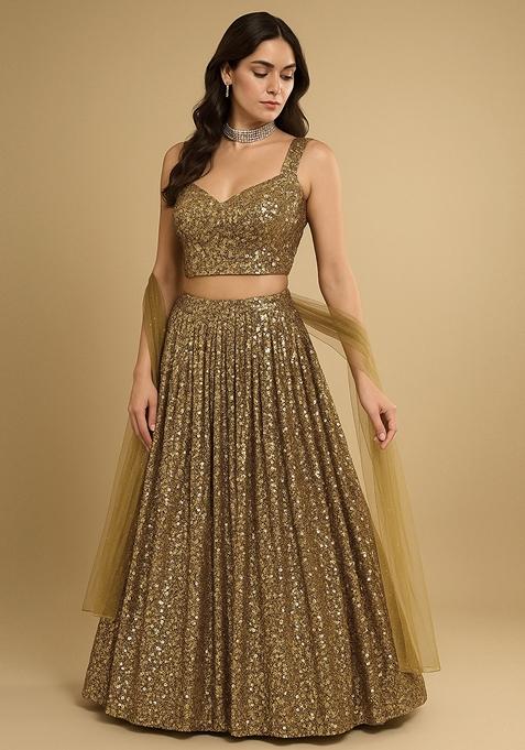 Gold Embellished Net Lehenga Set