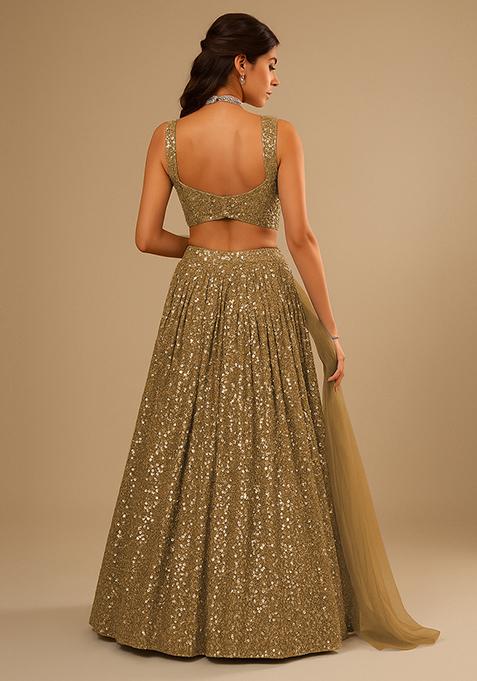 Gold Embellished Net Lehenga Set