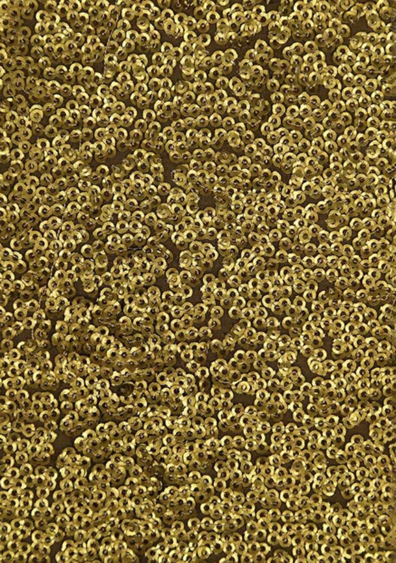 Golden Embellished Georgette Lehenga Set