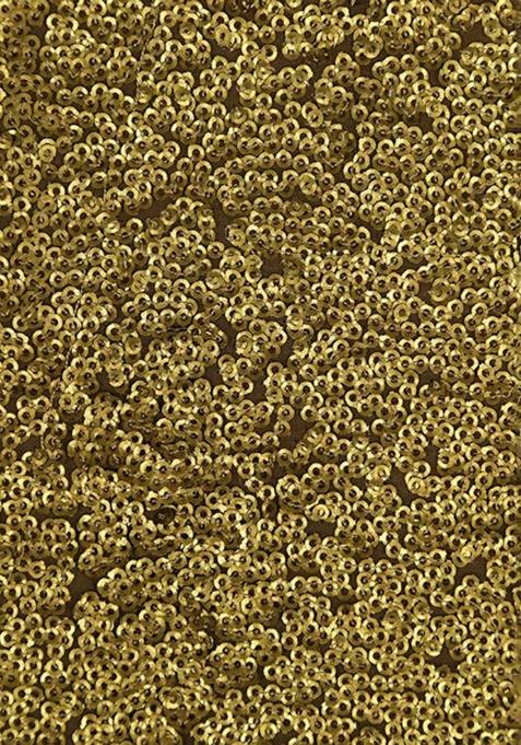 Golden Embellished Georgette Lehenga Set