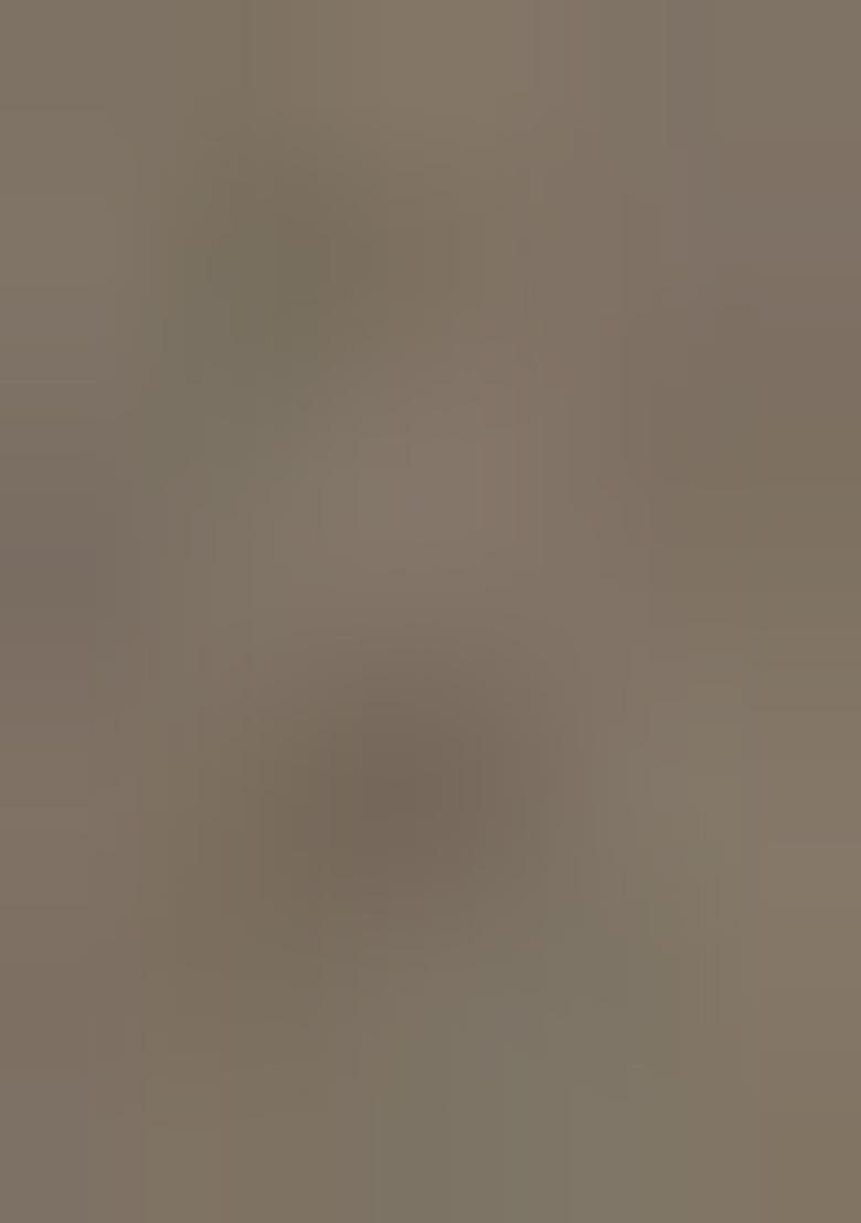 Grey Sequin Embellished Georgette Lehenga Set