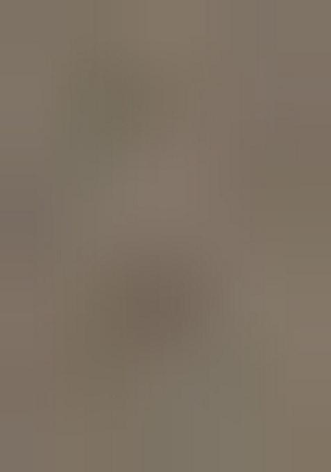 Grey Sequin Embellished Georgette Lehenga Set