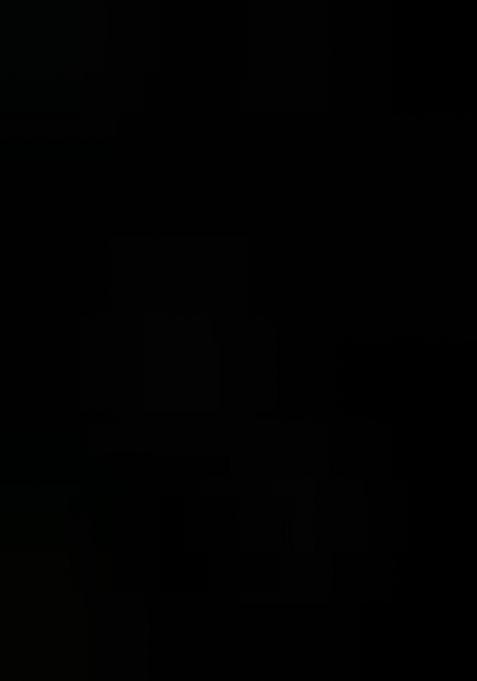 Black Embroidered Organza Lehenga Set With Dupatta