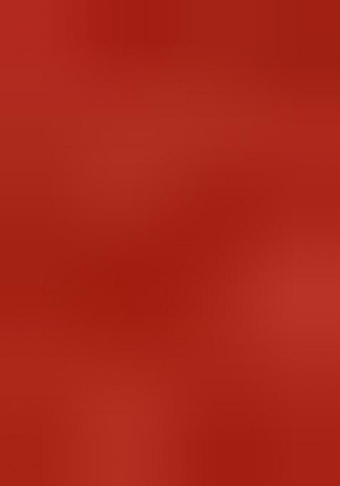 Red Embroidered Tissue Lehenga Set